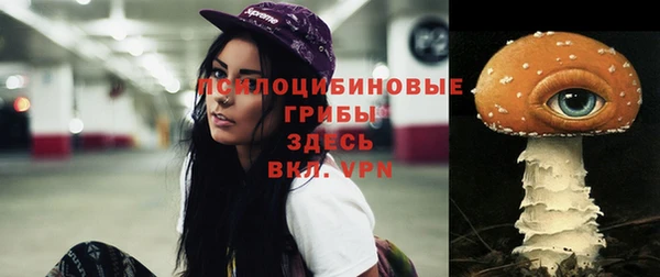 шишки Бронницы