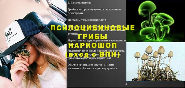 шишки Бронницы